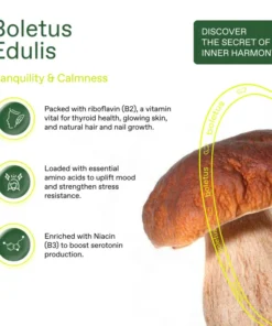 Boletus Edulis THE PEACE COFFEE PODS
