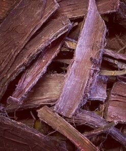 brazilian mimosa hostilis root bark​